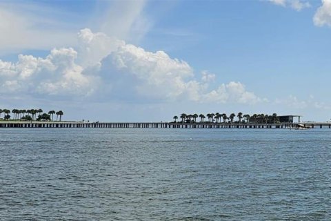 Land in Saint Petersburg, Florida № 1542324 - photo 7