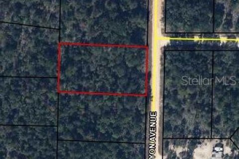 Land in Alford, Florida № 2203111 - photo 4