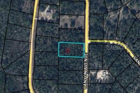 Land in Alford, Florida № 2203111 - photo 2