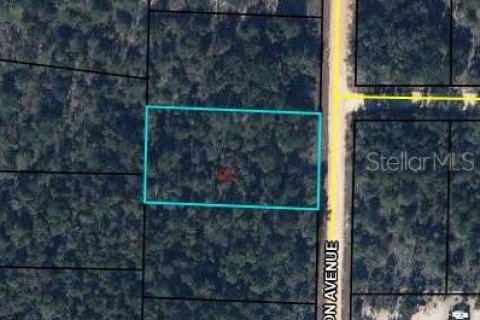Land in Alford, Florida № 2203111