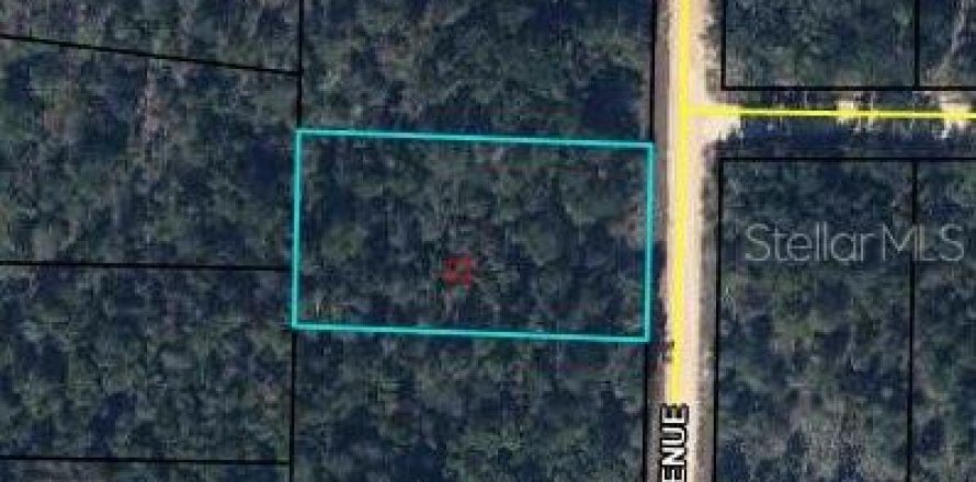 Land in Alford, Florida № 2203111