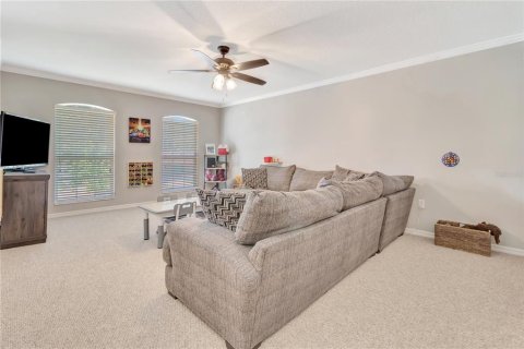 House in Homosassa, Florida 6 bedrooms, 371.33 sq.m. № 2393944 - photo 29