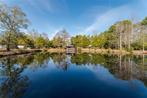 Villa ou maison à vendre à Hilliard, Floride: 4 chambres, 270.53 m2 № 2119352 - photo 2