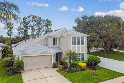 House in Wesley Chapel, Florida 3 bedrooms, 205.41 sq.m. № 1885234 - photo 1