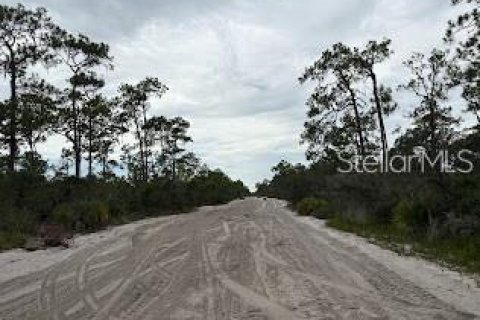 Land in Sebring, Florida № 2161989