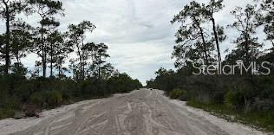 Land in Sebring, Florida № 2161989