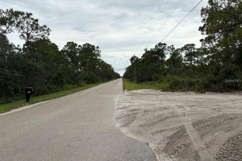 Land in Sebring, Florida № 2161989 - photo 4