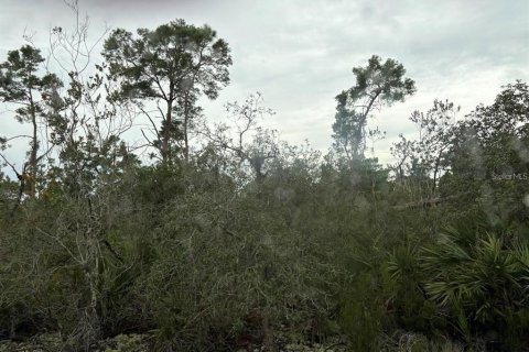 Land in Sebring, Florida № 2161989 - photo 7
