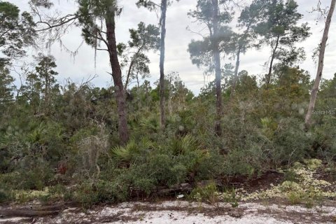 Land in Sebring, Florida № 2161989 - photo 5