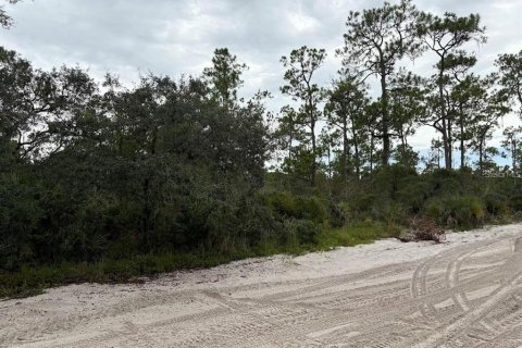 Land in Sebring, Florida № 2161989 - photo 3
