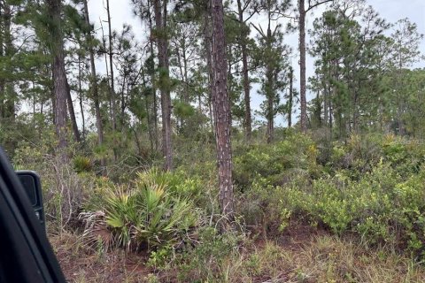 Land in Sebring, Florida № 2161989 - photo 6