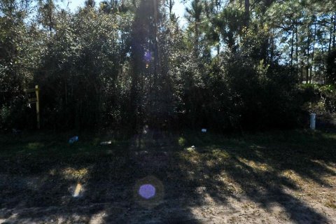 Land in North Port, Florida № 2161505 - photo 3