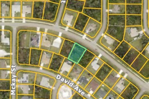 Land in North Port, Florida № 2161505 - photo 2