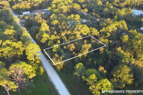 Land in Punta Gorda, Florida № 2284237