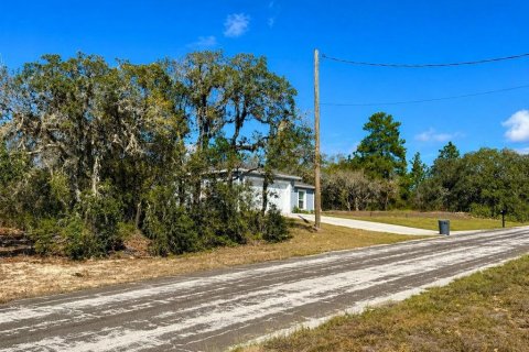 Land in Citrus Springs, Florida № 2160858 - photo 3