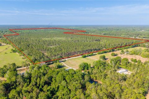 Terreno en venta en Starke, Florida № 2397092 - foto 2