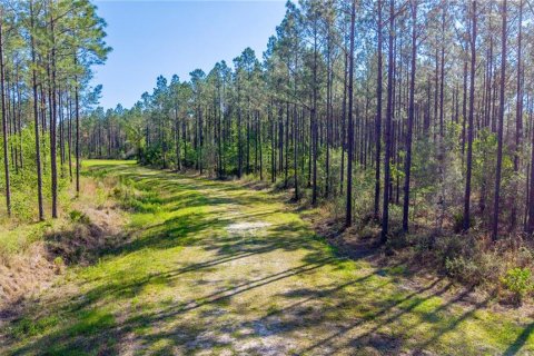 Terreno en Starke, Florida № 2397092