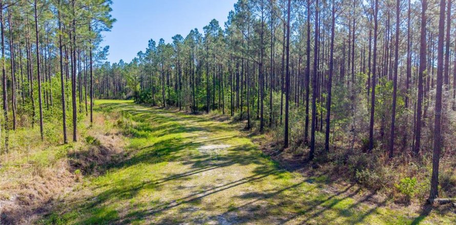Terreno en Starke, Florida № 2397092