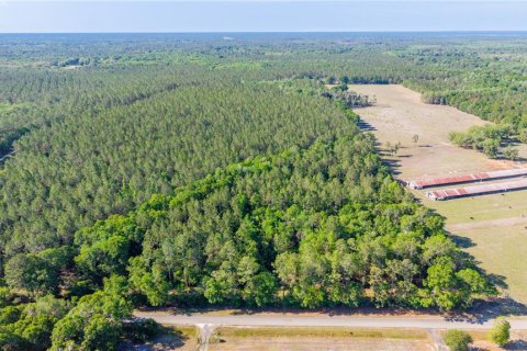 Terreno en venta en Starke, Florida № 2397092 - foto 9