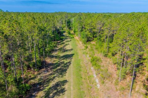 Terreno en venta en Starke, Florida № 2397092 - foto 8