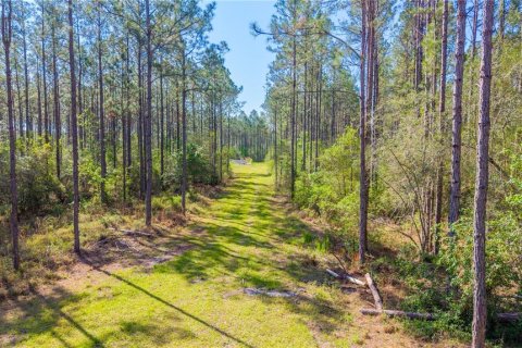 Terreno en venta en Starke, Florida № 2397092 - foto 7