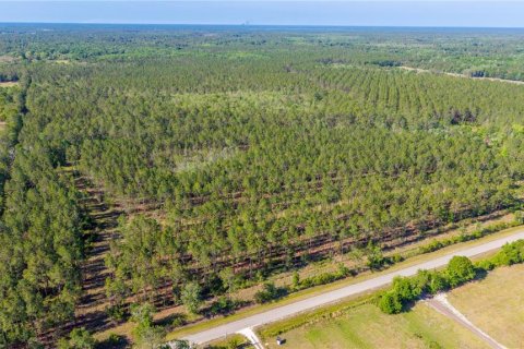 Terreno en venta en Starke, Florida № 2397092 - foto 4