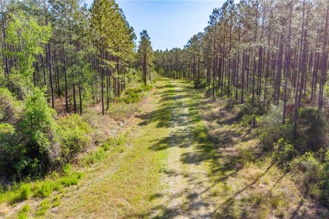 Terreno en venta en Starke, Florida № 2397092 - foto 5