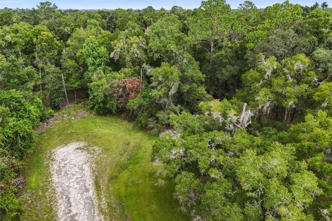 Terreno en venta en Chiefland, Florida № 1915078 - foto 3