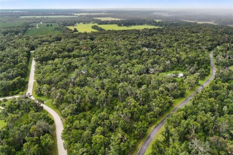 Terreno en venta en Chiefland, Florida № 1915078 - foto 12