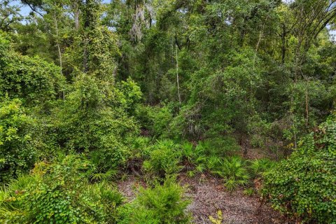Terreno en venta en Chiefland, Florida № 1915078 - foto 14