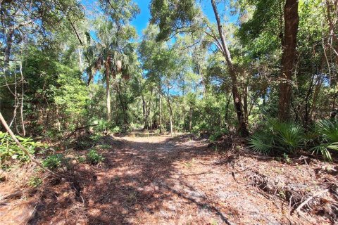 Terreno en venta en Chiefland, Florida № 1915078 - foto 7