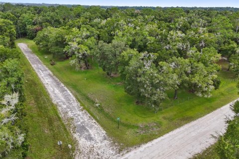Terreno en venta en Chiefland, Florida № 1915078 - foto 4