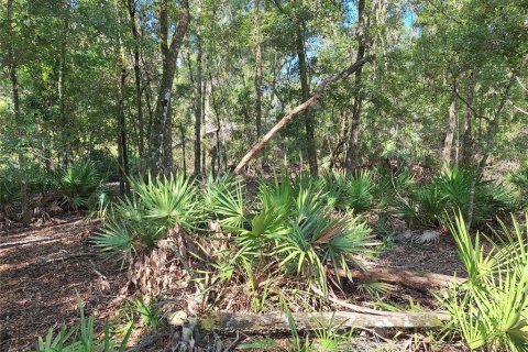 Terreno en venta en Chiefland, Florida № 1915078 - foto 9