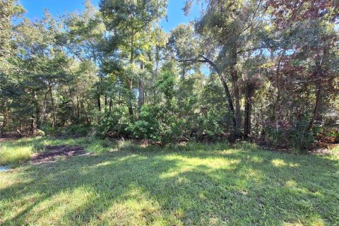 Terreno en venta en Chiefland, Florida № 1915078 - foto 5