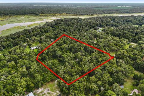 Terreno en venta en Chiefland, Florida № 1915078 - foto 10