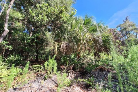 Terreno en venta en Chiefland, Florida № 1915078 - foto 8