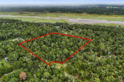 Terreno en venta en Chiefland, Florida № 1915078 - foto 2