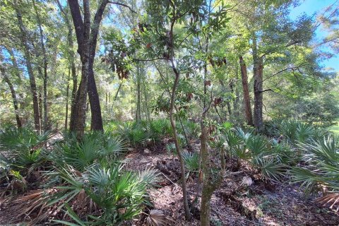 Terreno en venta en Chiefland, Florida № 1915078 - foto 6