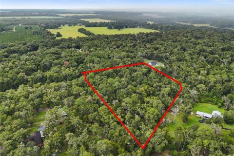 Terreno en venta en Chiefland, Florida № 1915078 - foto 13