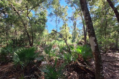 Terreno en venta en Chiefland, Florida № 1915078 - foto 1