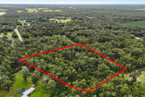 Terreno en venta en Chiefland, Florida № 1915078 - foto 11