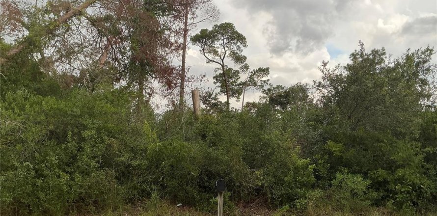 Land in Weeki Wachee, Florida № 1871082