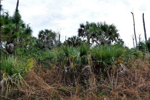 Terreno en venta en North Port, Florida № 2162122 - foto 2