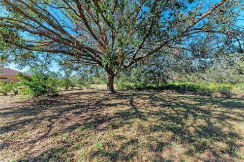 House in Bradenton, Florida 3 bedrooms, 231.88 sq.m. № 1539243 - photo 27