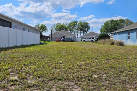 Land in Groveland, Florida № 1578479 - photo 2