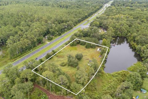 Land in Micanopy, Florida № 1919276 - photo 9