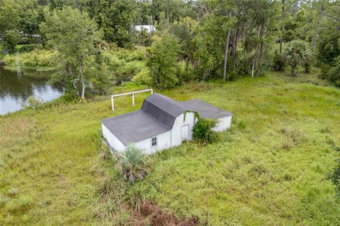 Land in Micanopy, Florida № 1919276 - photo 6