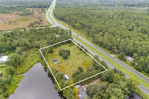 Land in Micanopy, Florida № 1919276 - photo 10