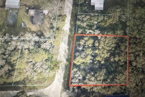 Land in Summerfield, Florida № 2164633 - photo 2