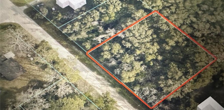 Land in Summerfield, Florida № 2164633